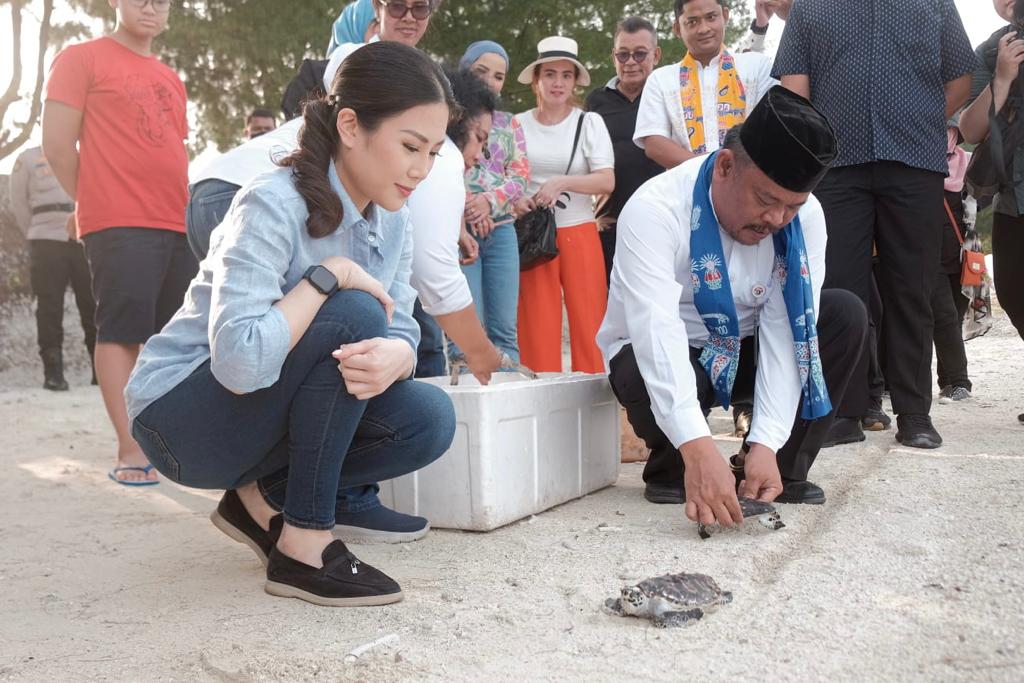 Wamenparekraf Lepas Penyu Sisik di Pantai Pulau Pramuka 1 penyu tukik